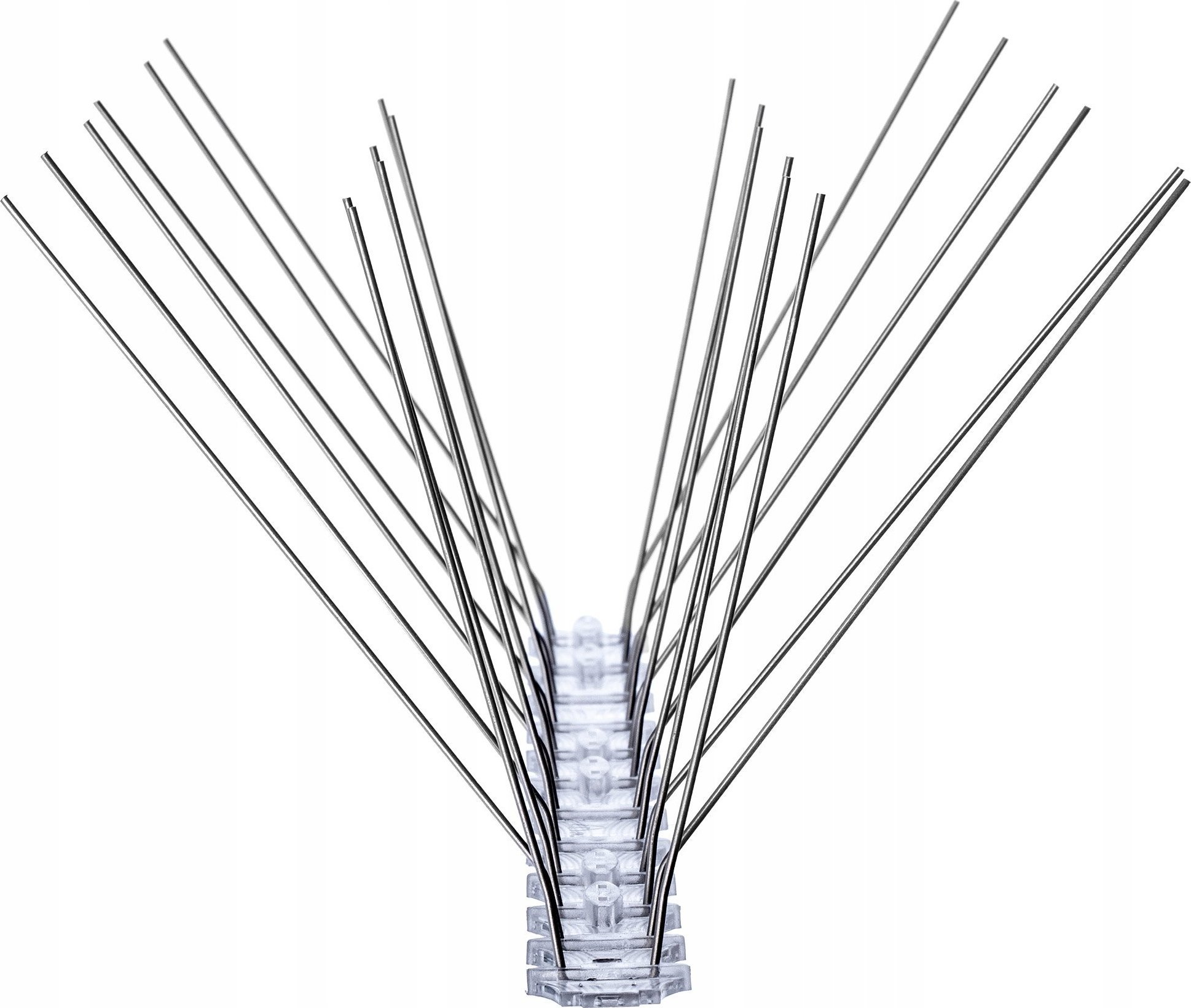 Kadax Kolce Na Ptaki Gołębie Gęste I Długie Nierdzewne