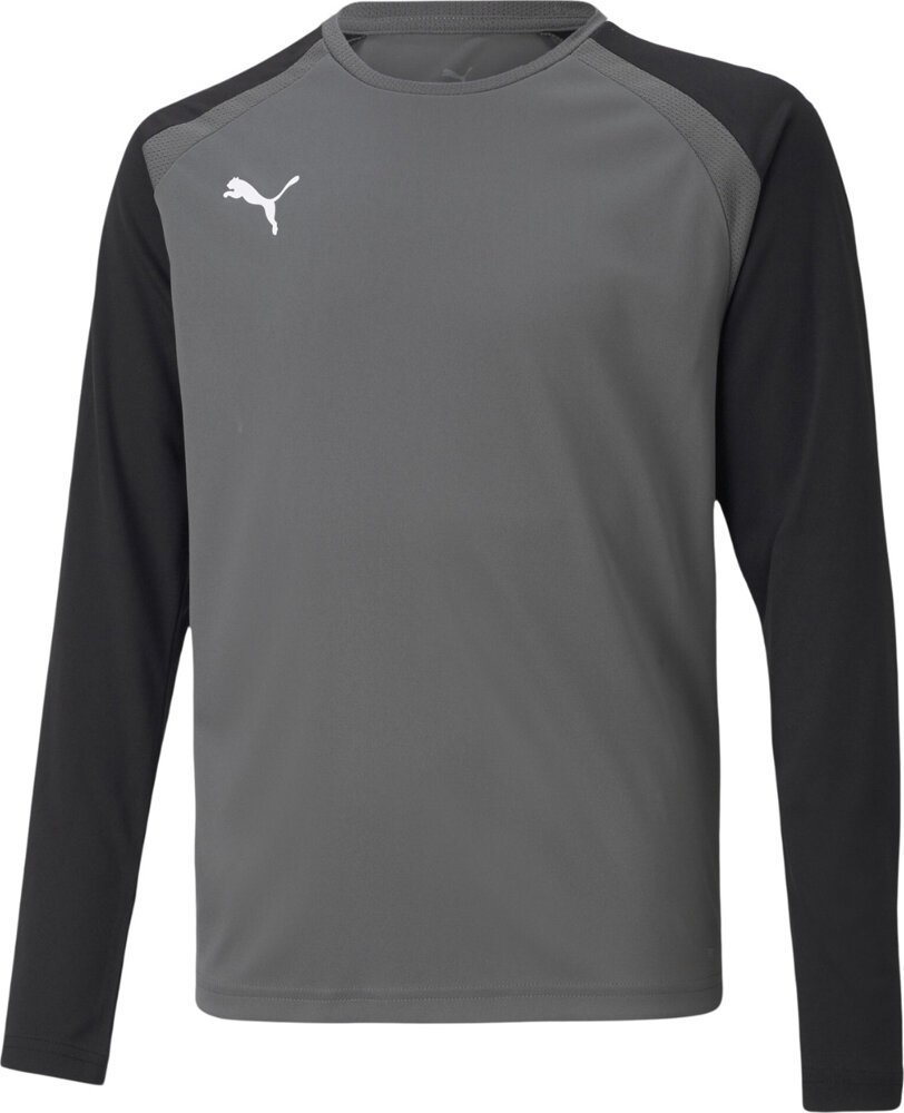 Puma Bluza bramkarska dla dzieci Puma teamPACER GK LS Jersey szara 704939 43 140cm
