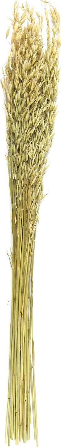 Intesi INTESI SUSZONY BUKIET 75CM- OWIES