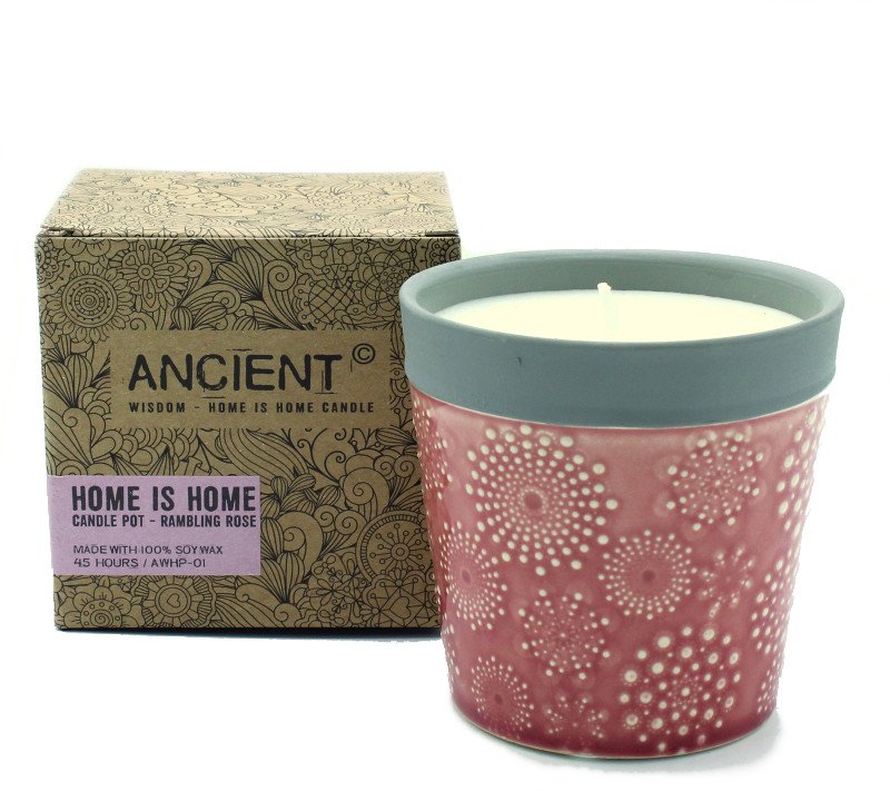 Świeca sojowa w doniczce - Rose