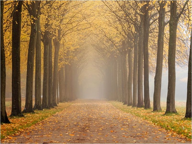 DecoNest Fototapeta - Journey to the unknown - 200X154