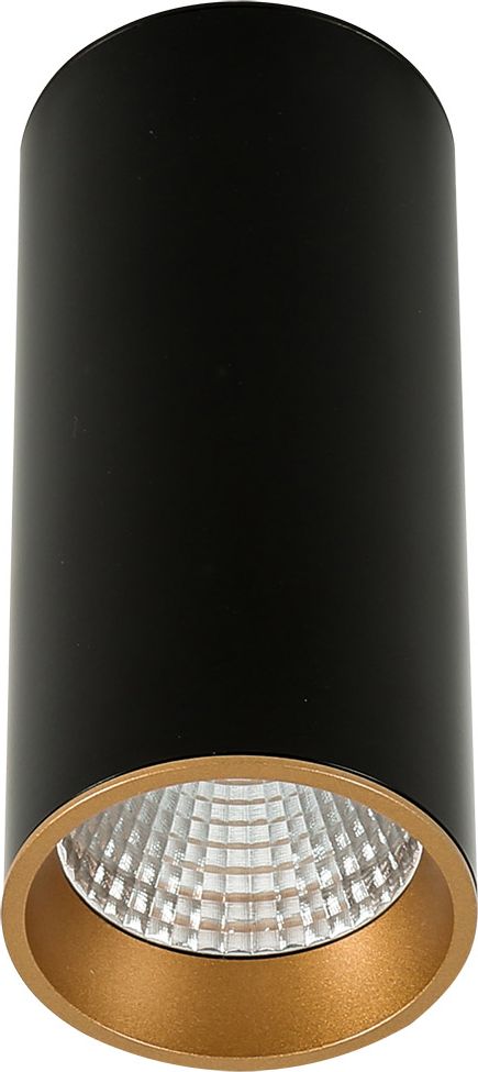 Lampa sufitowa Italux Lampa natynkowa tuba czarna Italux MOLDES BIG 3000K SLC7392/12W 3000K BL+GO