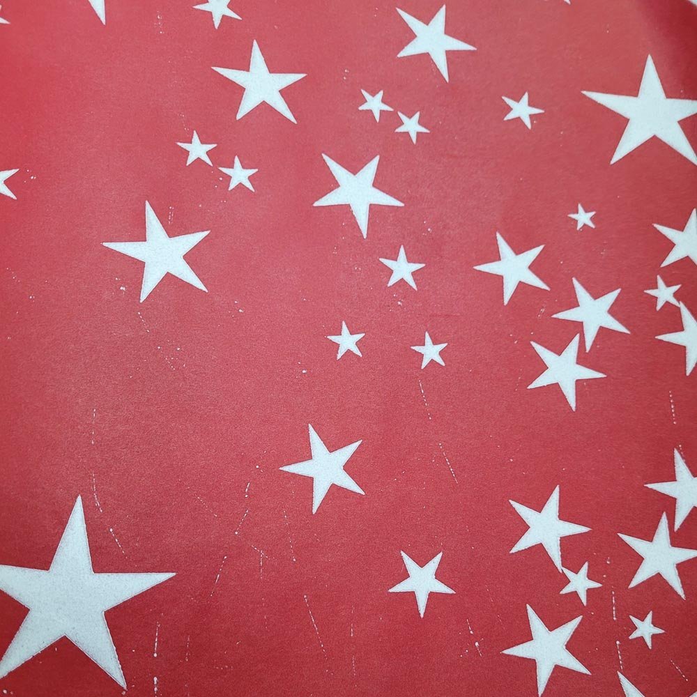 Fastima Papier do pakowania prezentów 57cmx2m 2m607