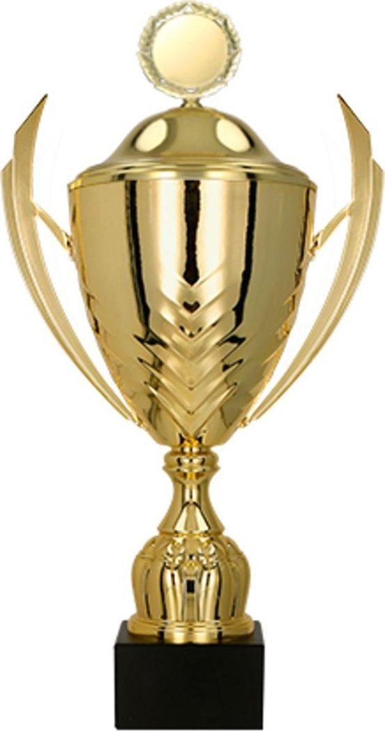 Victoria Sport Puchar metalowy z przykrywką