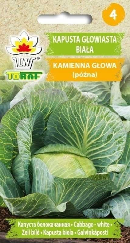 Toraf Nasiona warzyw | Kapusta Głowiasta Biała Kamienna Głowa | Opakowanie 2g