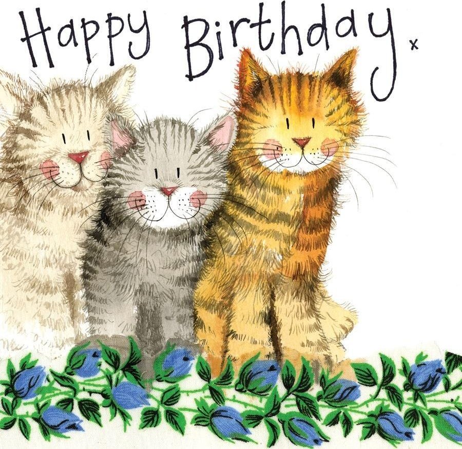 Karnet Urodziny S97 3 Koty