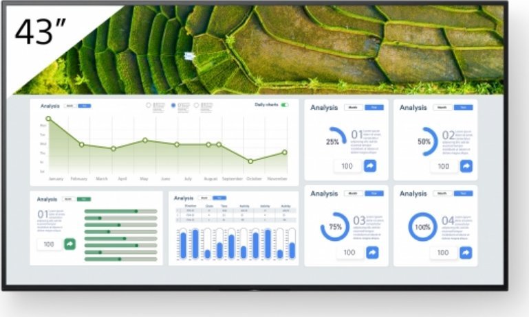 Monitor Sony Bravia FW-43BZ30L