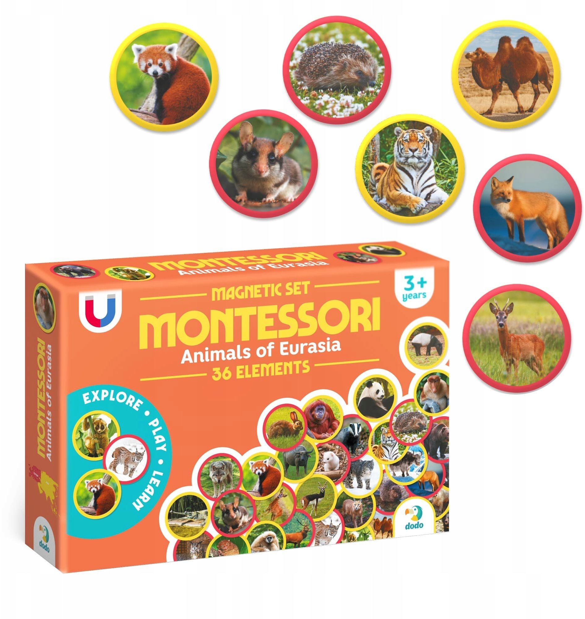 Zestaw magnesów Montessori Zwierzęta Eurazja