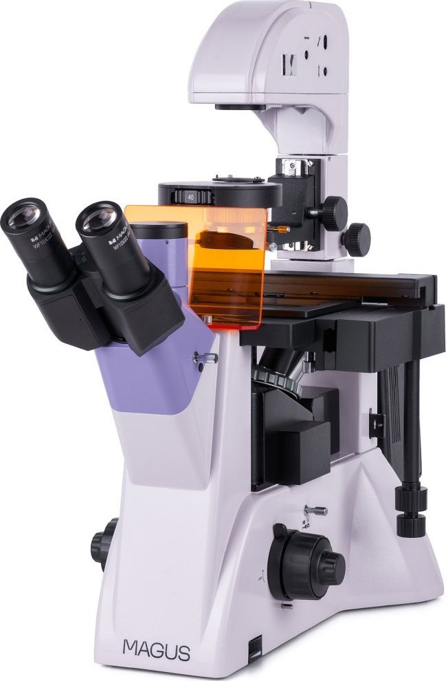 Mikroskop Magus Odwrócony mikroskop fluorescencyjny MAGUS Lum V500