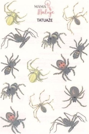 Tatuaże zmywalne Pajęczaki 2