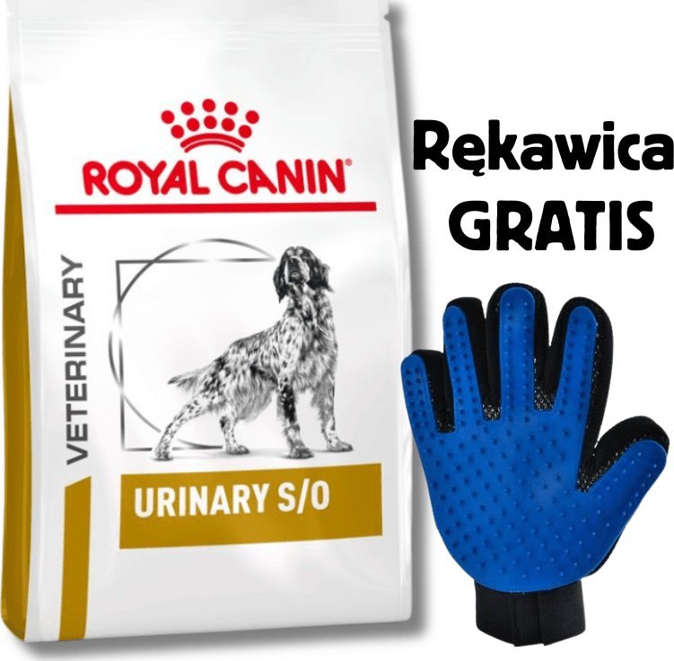 Royal Canin Urinary S/O 13 kg + Rękawica do czesania
