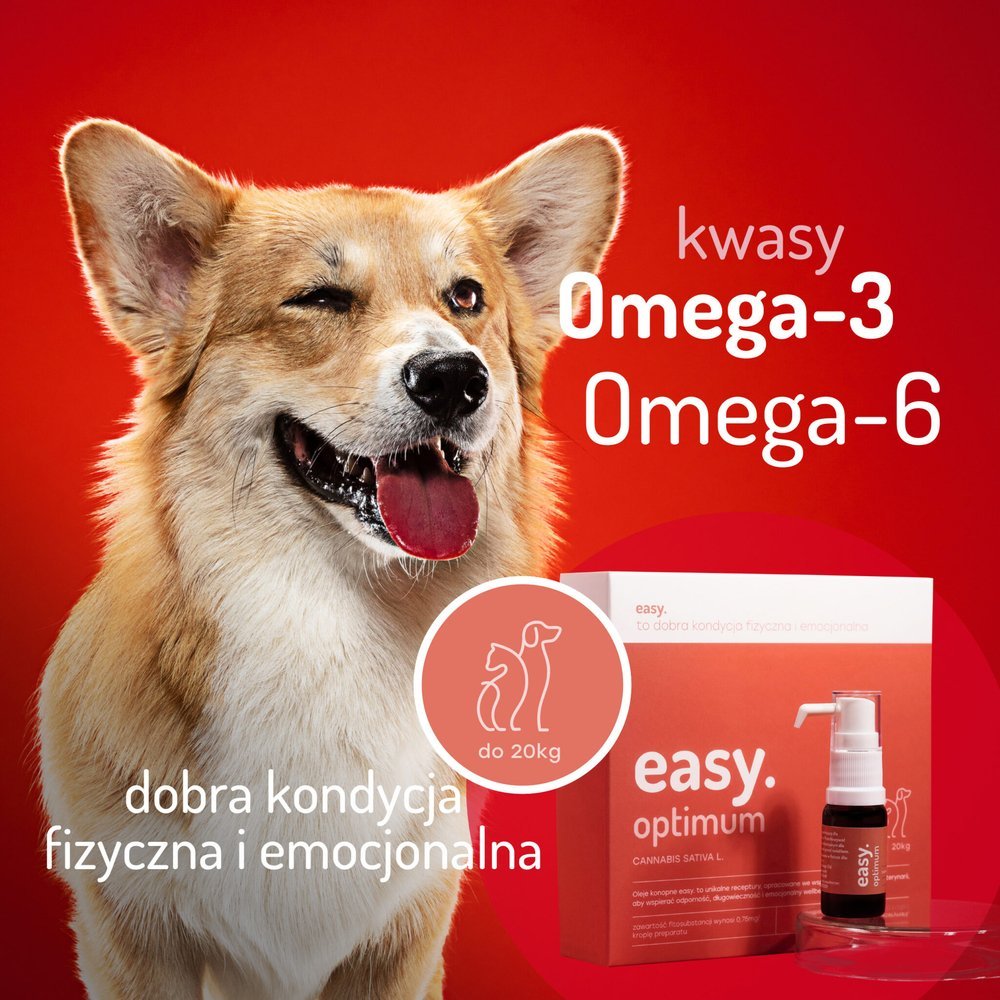 Easy. Olej konopny dla psów i kotów Optimum powyżej 20kg