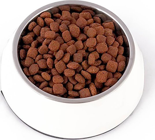 Pupil Premium Karma sucha dla kota PUPIL Premium bogata w szprotkę 1,6 kg