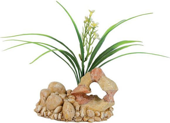 Zolux Dekoracja skała z rośliną T1