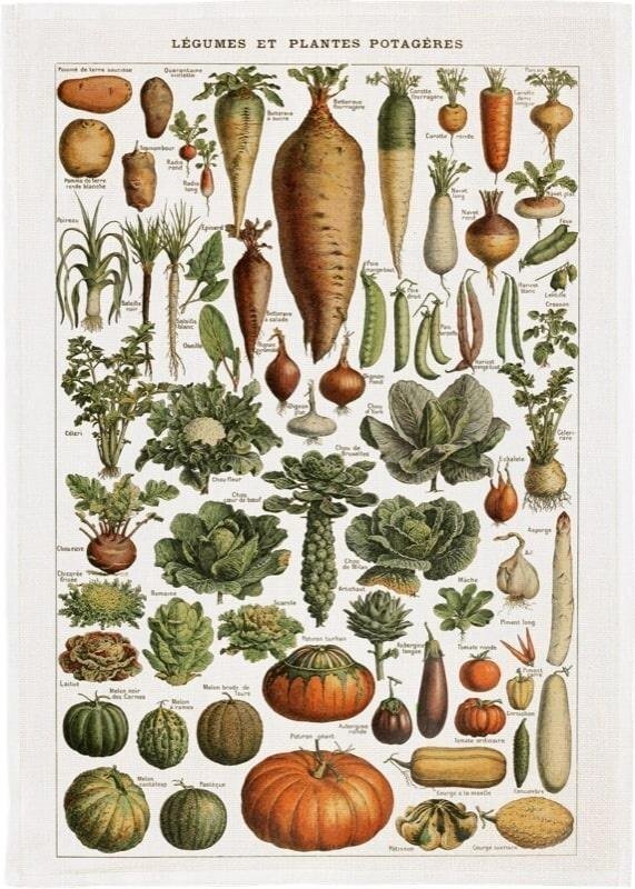 Ręcznik kuchenny - Warzywa