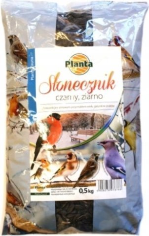 Planta Słonecznik czarny dla ptaków ziarno 0,5 kg