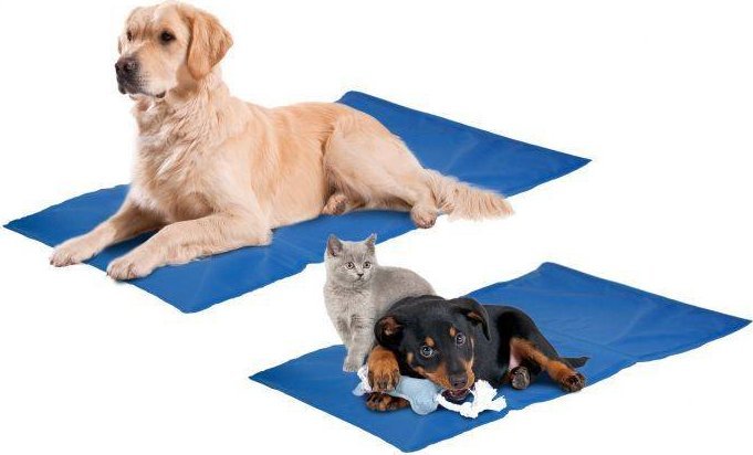 Be Cold Mata chłodząca niebieska 90x50cm