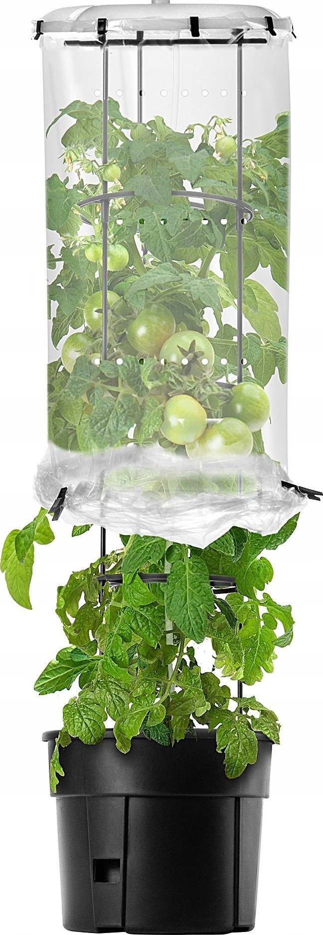 Kadax KADAX Zestaw Do Uprawy Pomidorów Doniczka Parasol