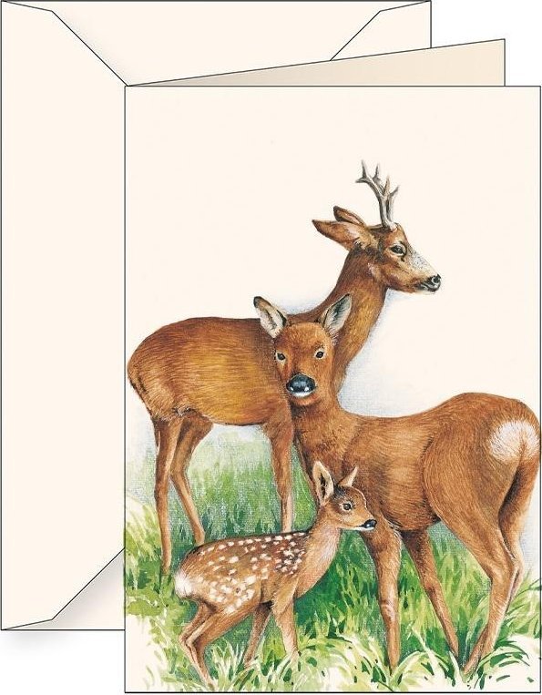 Karnet B6 + koperta 7509 Jelonki