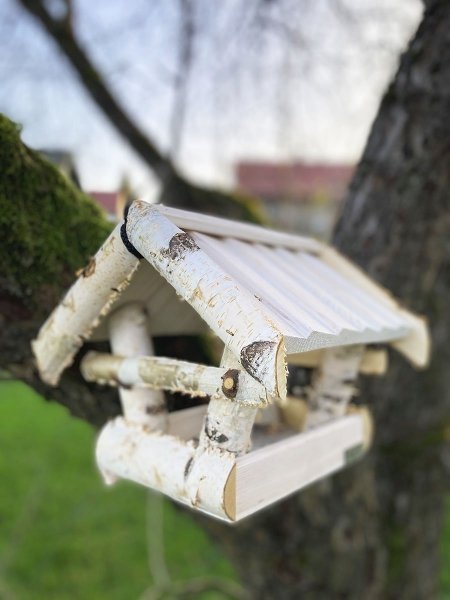 Wnuk Karmnik dla ptaków(Kolor/Brzoza/Średni)