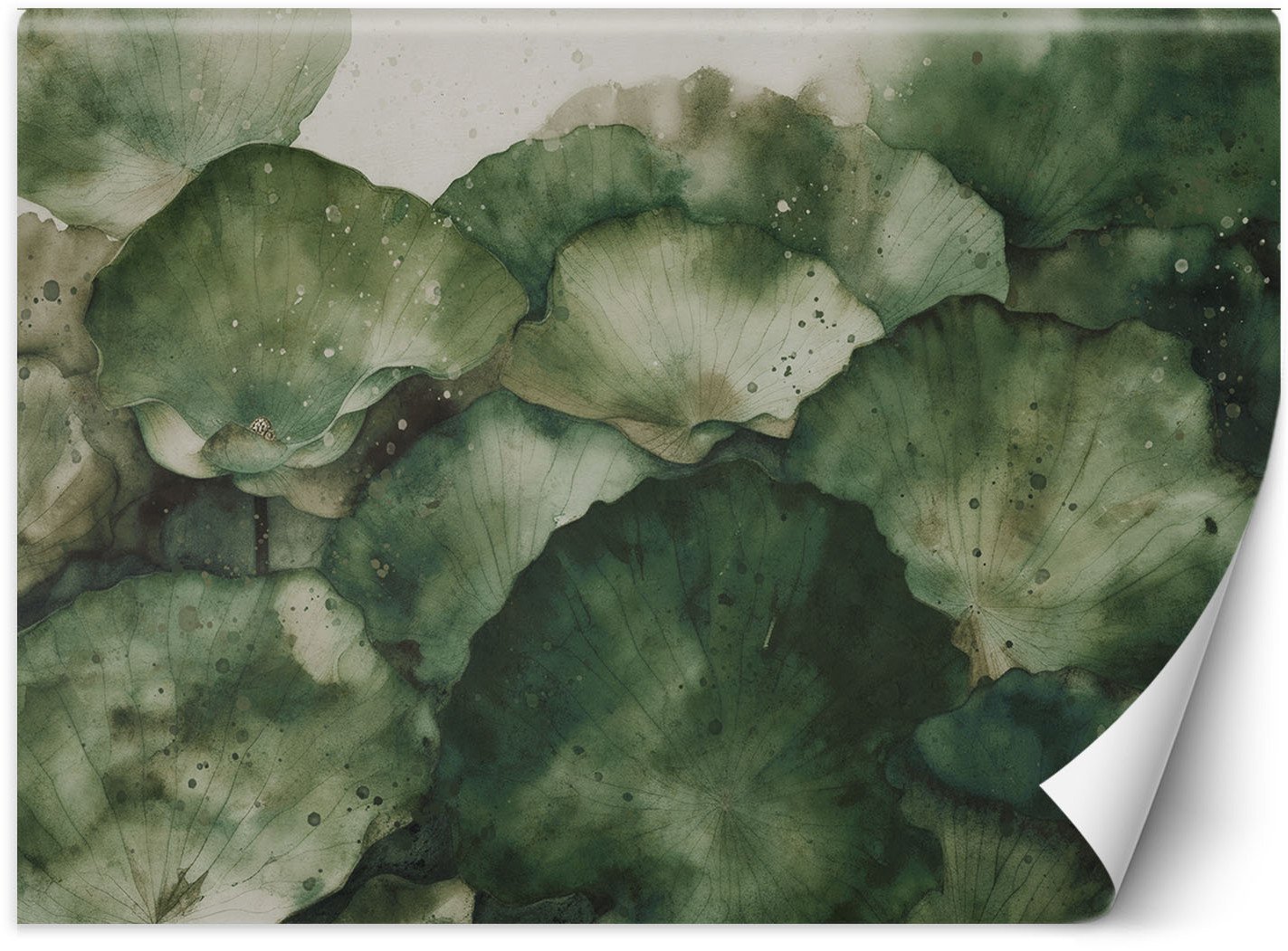 Feeby Fototapeta Zielone liście lotosu 400x280 xxl