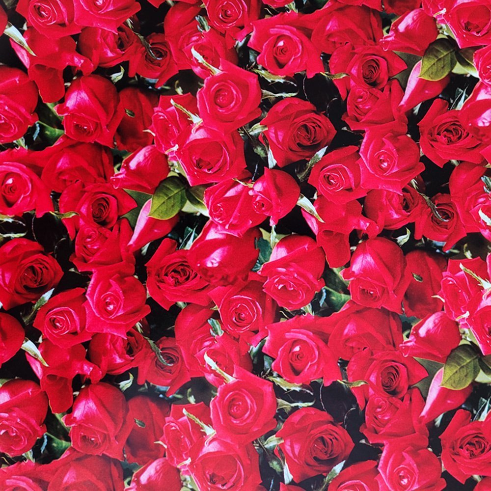 Papier róże do pakowania prezentów 57cmx20m 20m304