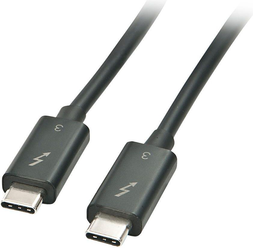 Kabel USB Lindy USB-C - USB-C 0.5 m Czarny (41555)