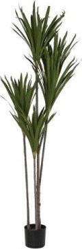 DKD Home Decor Roślina Dekoracyjna DKD Home Decor (80 x 80 x 180 cm)