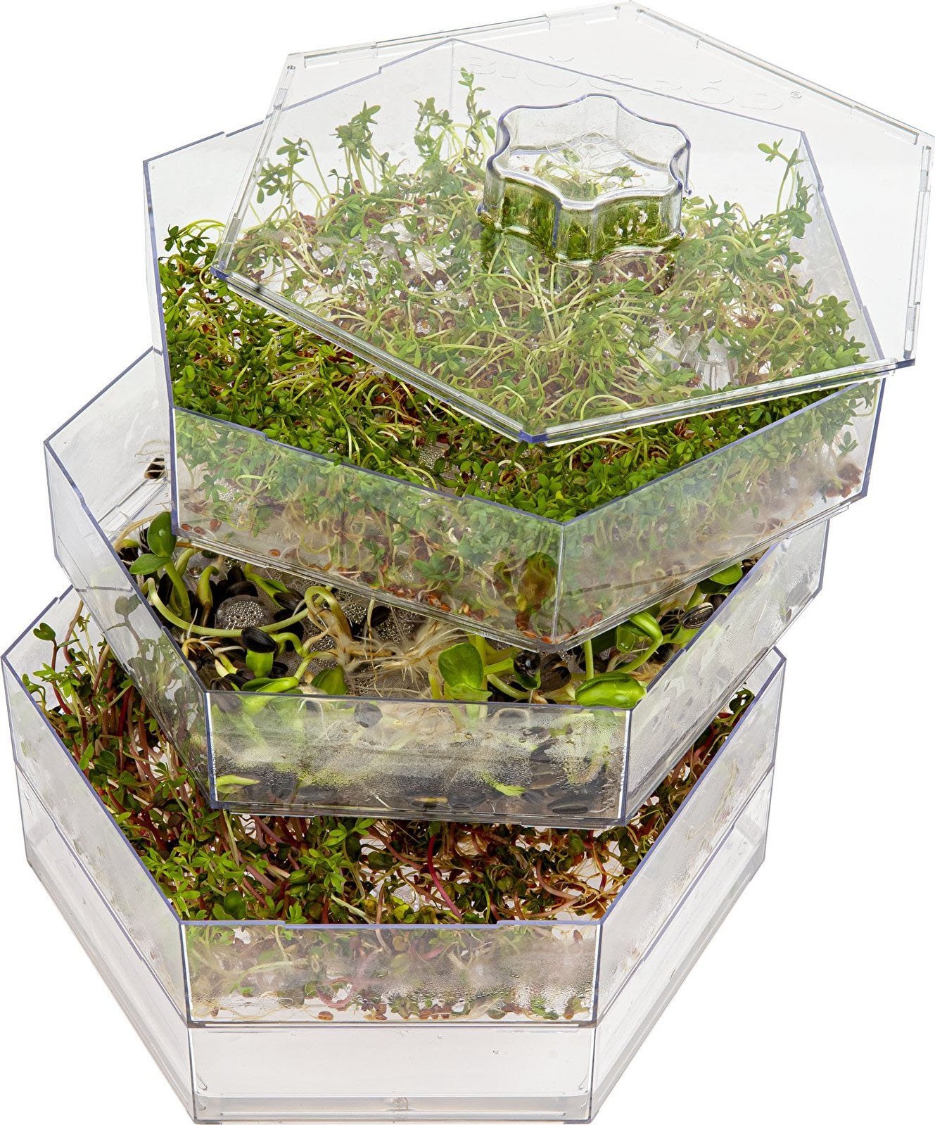 Browin Kiełkownica wielopoziomowa Niezłe Ziółko Zestaw