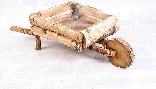 Wnuk Donica brzozowa (Taczka)