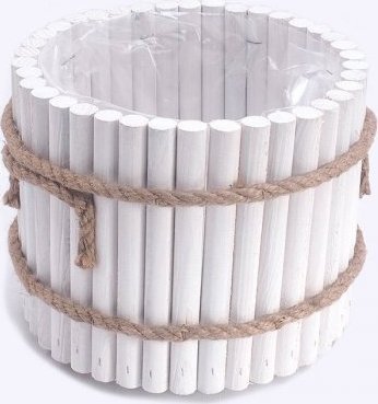 Wnuk Osłonka Sosnowa(Okrągła/Niska)