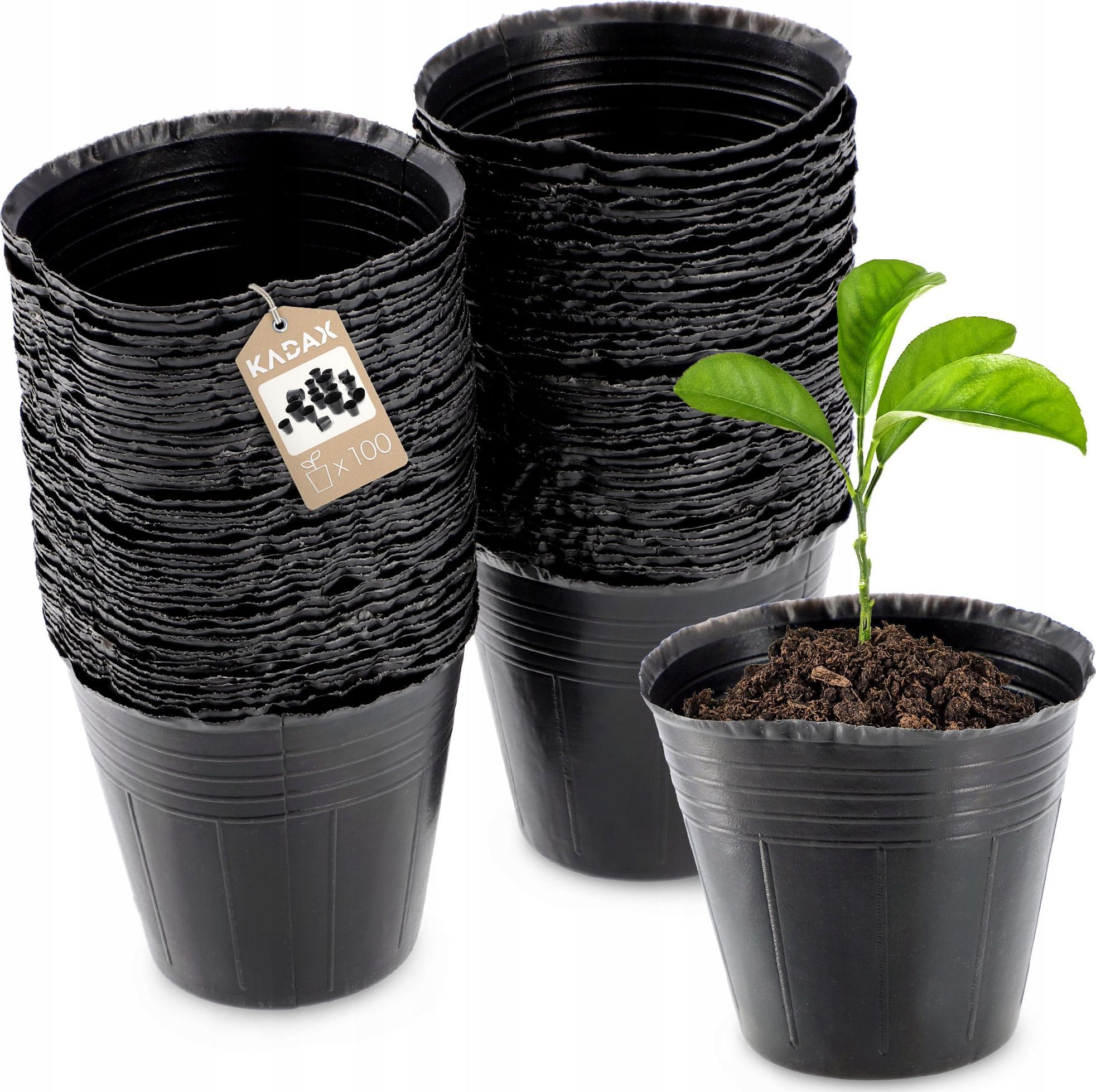 Kadax DONICZKI NA SADZONKI ROZSAD PRODUKCYJNE 6cm 100szt