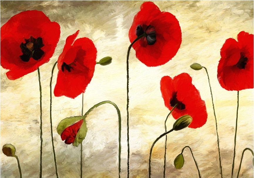 DecoNest Fototapeta - Złote pole maków - 400X309