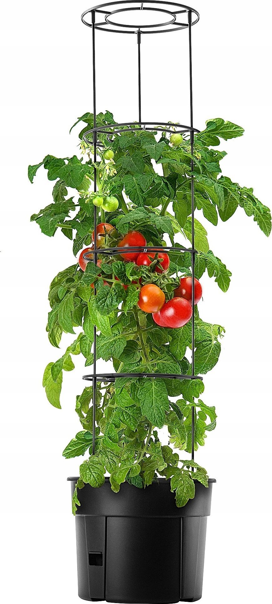 Kadax KADAX Doniczka Na Pomidory Do Uprawy Pomidorów 28L