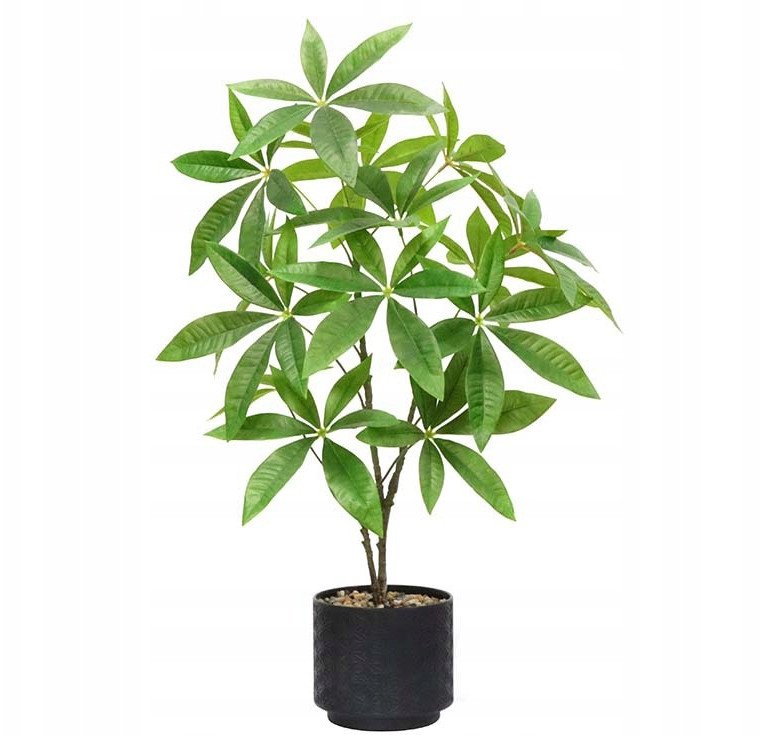 SZTUCZNA Roślina PACHIRA W DONICZCE REALISTYCZNA 60cm KRZACZEK PIĘKNA