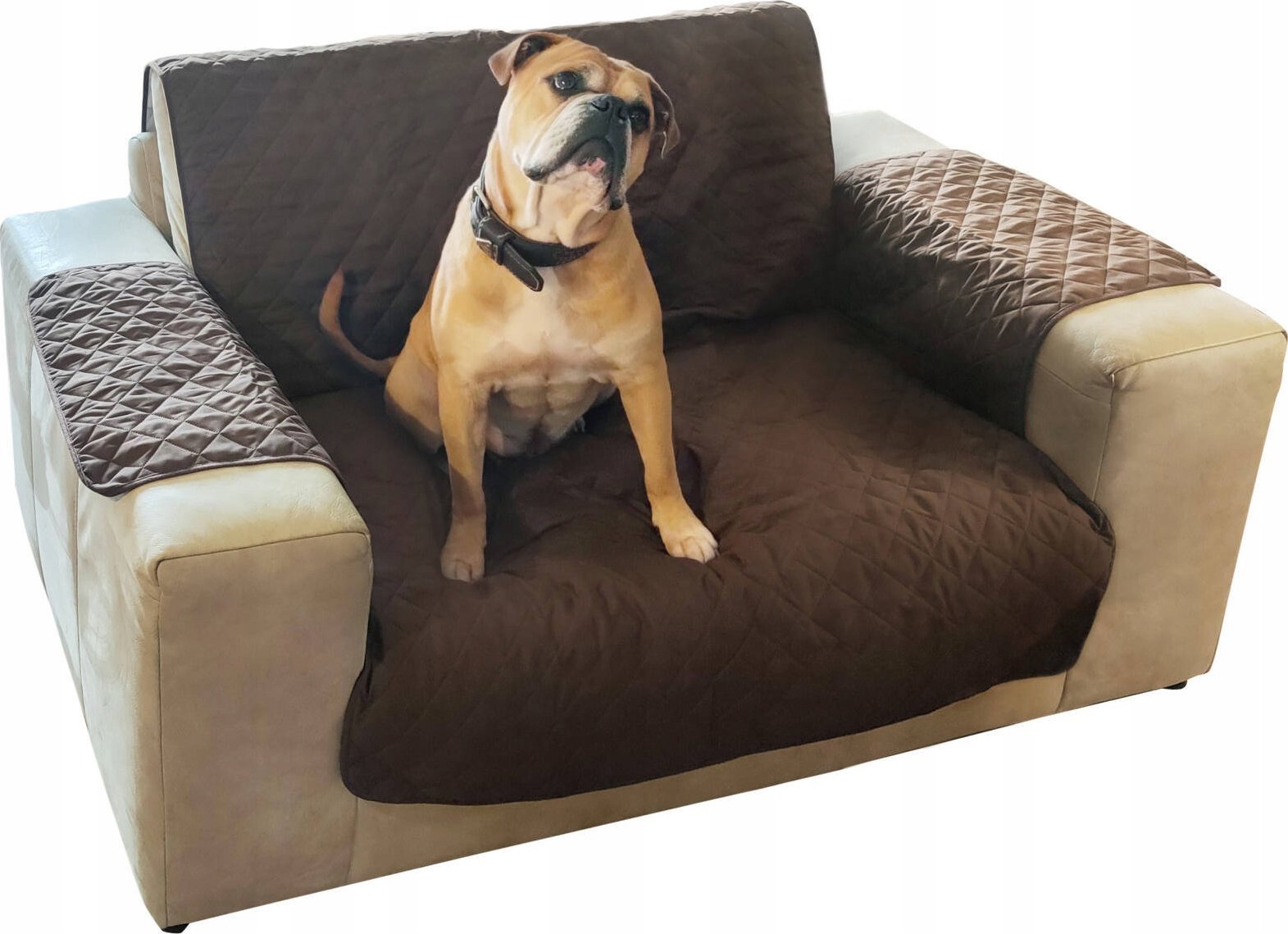 ProGarden Ochraniacz na sofę dla psa, 226 x 188 cm