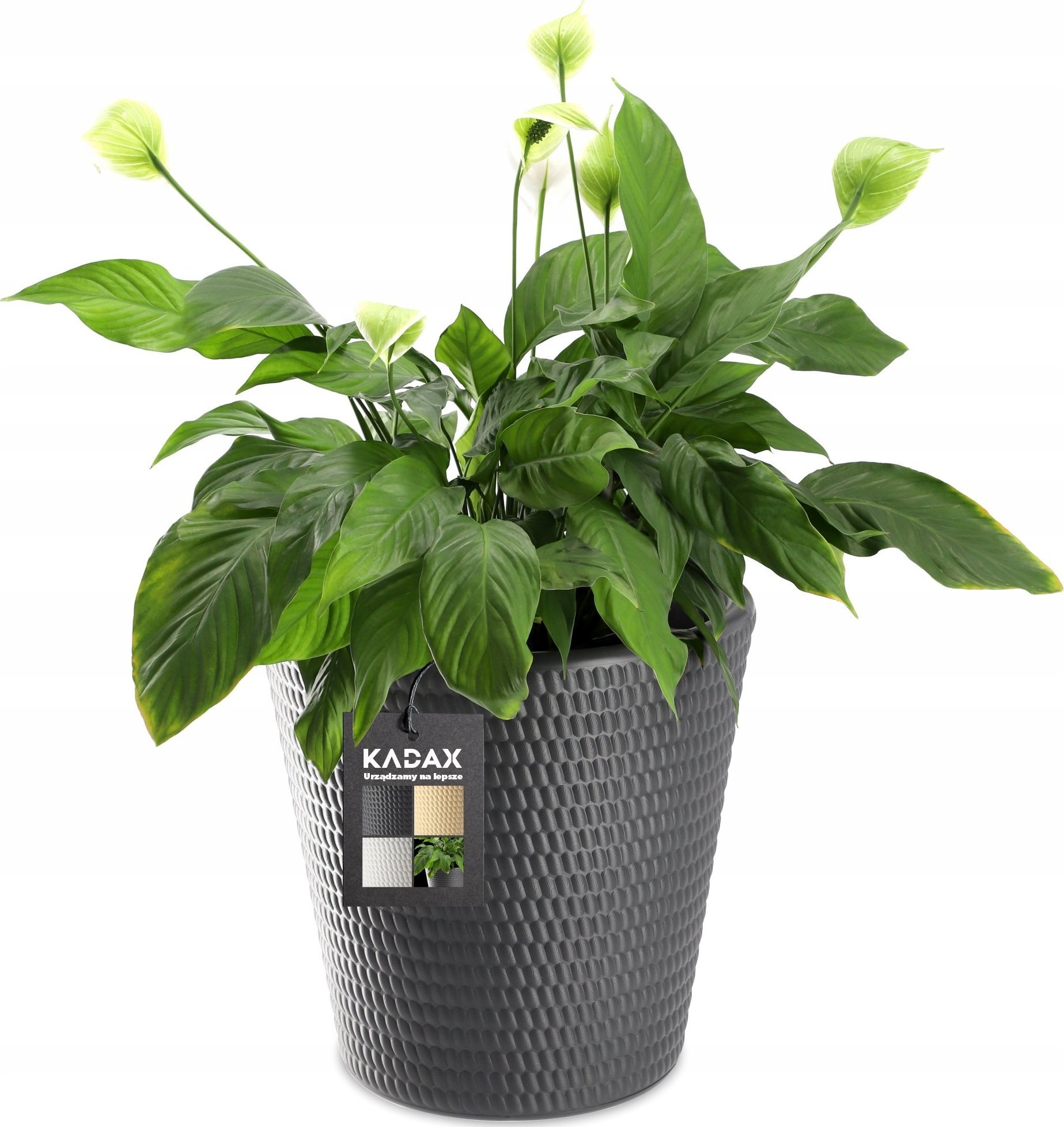 Kadax Donica Doniczka Kwietnik Osłonka Antracyt 35 cm