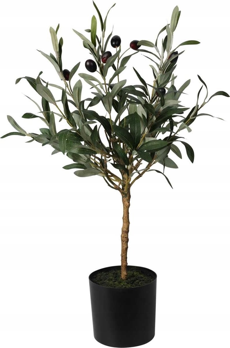 Sztuczna roślina drzewko oliwne, 66 cm