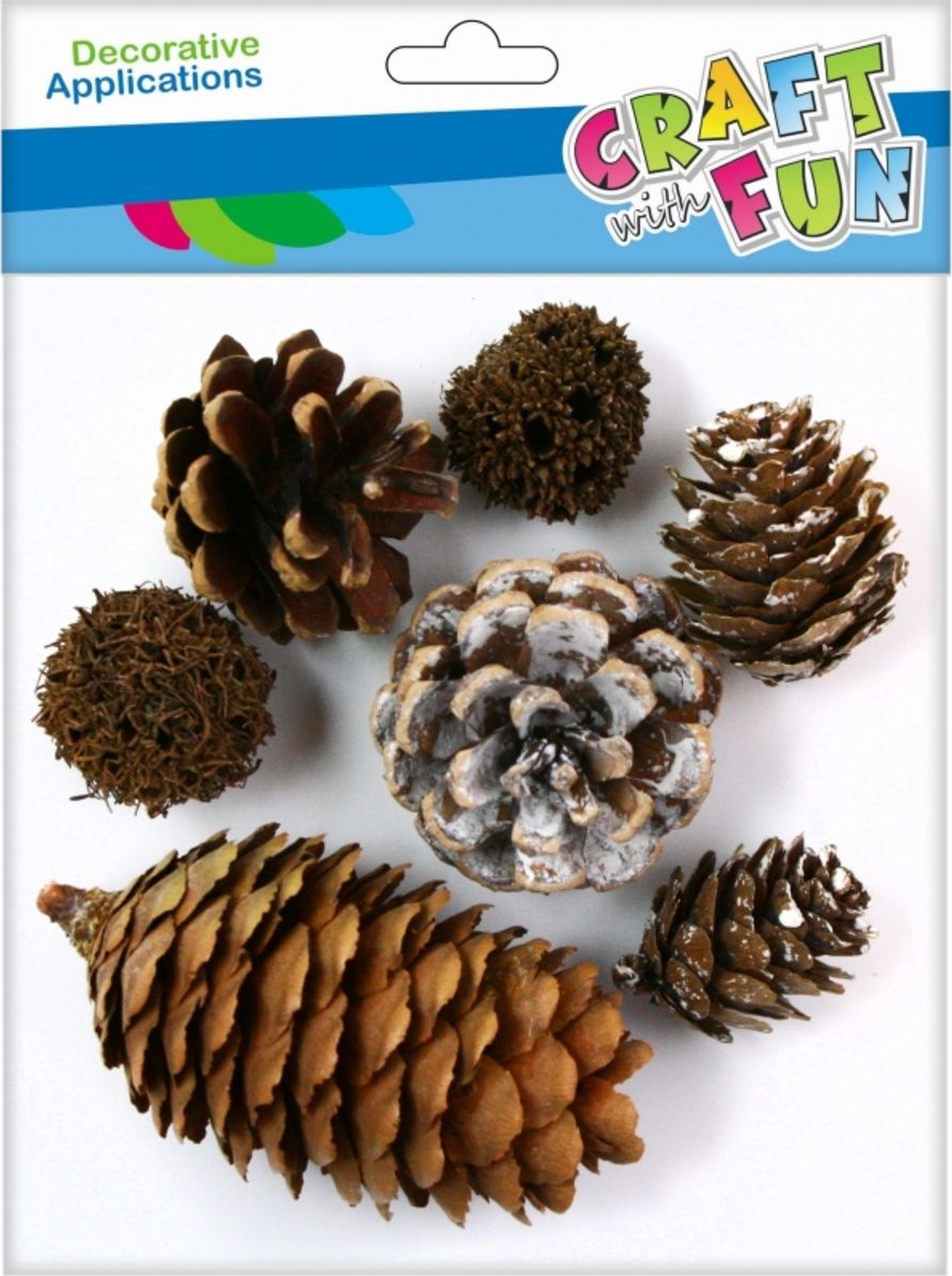 Craft with Fun CF OZDOBA DEK NATURA SZYSZKA 7SZT MIX PBH 12/288
