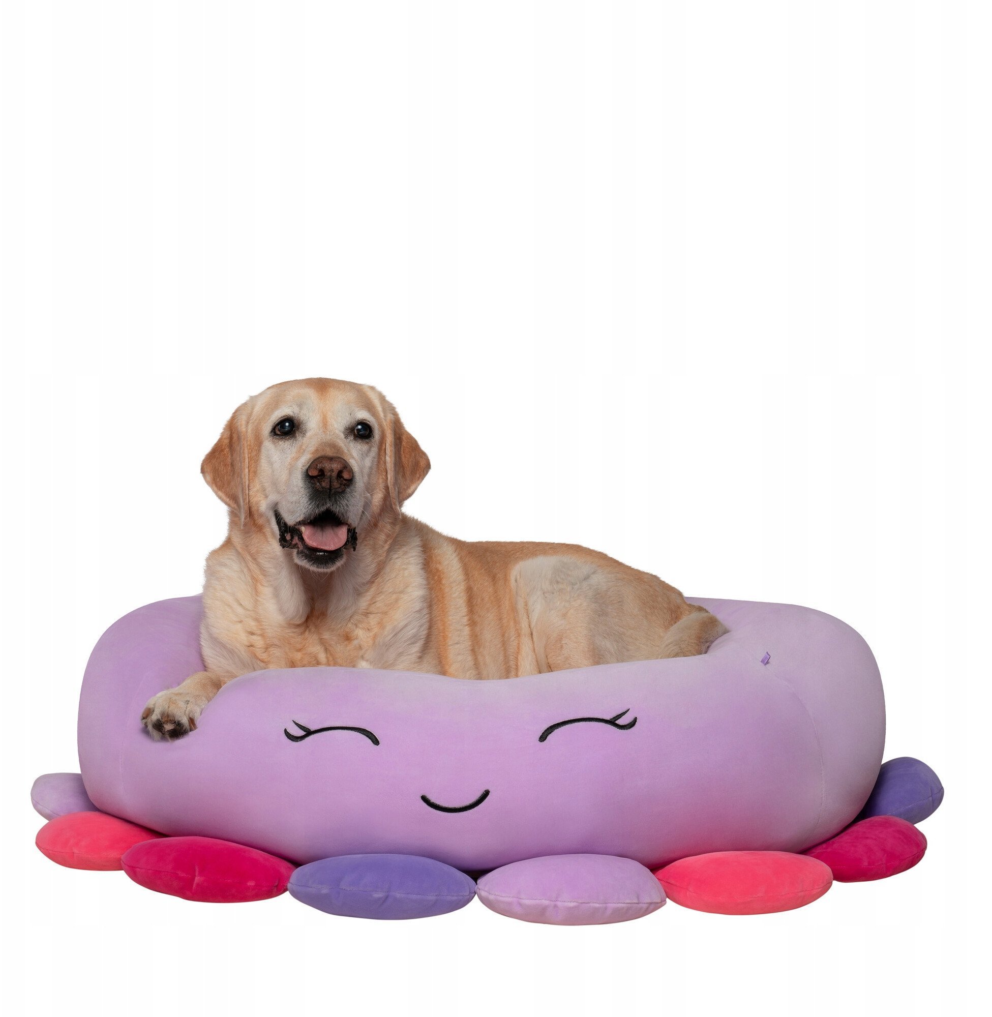 JAS PETS LEGOWISKO L 76CM OŚMIORNICA