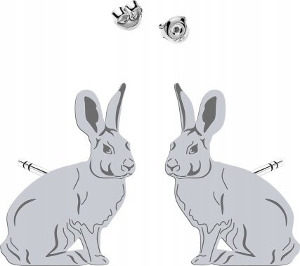 Radziszewska Jewellery Srebrne Kolczyki z ZAJĄCEM DEDYKACJA