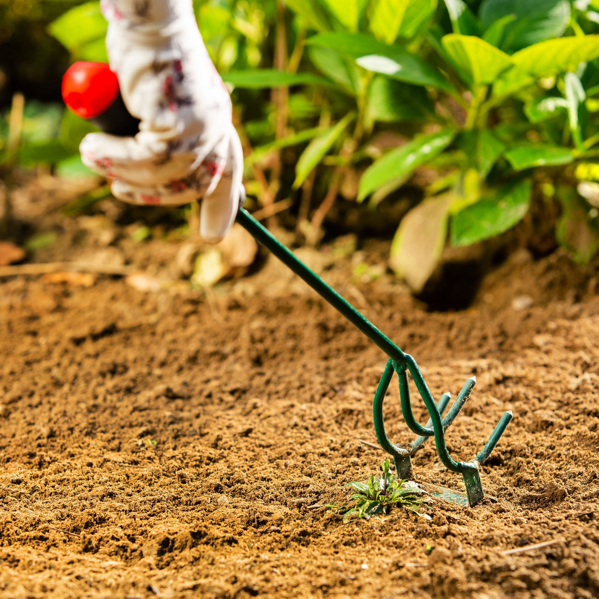 Kadax KADAX Zestaw Narzędzi Ogrodowych 4W1 Łopatka Wycinacz Spulchniacz Do Gleby