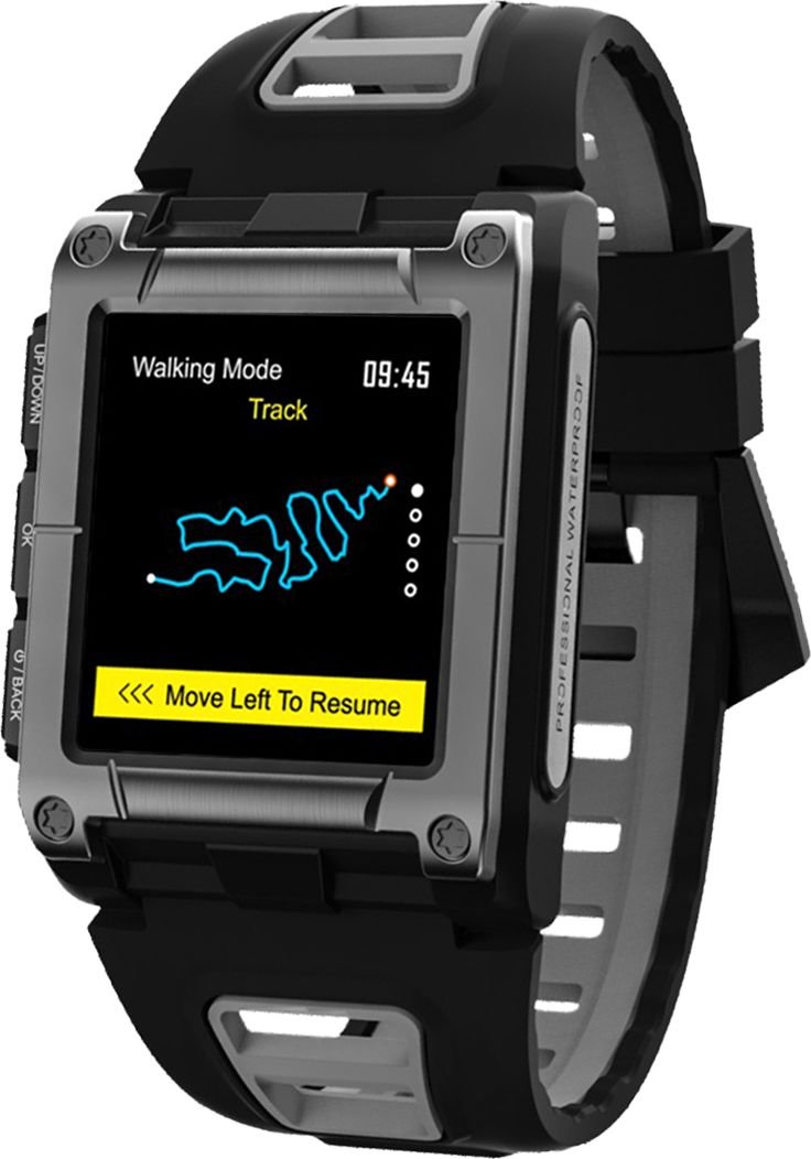 Zegarek sportowy Watchmark Extremum Triathlon WS929 Czarno-szary (WS929 sz)