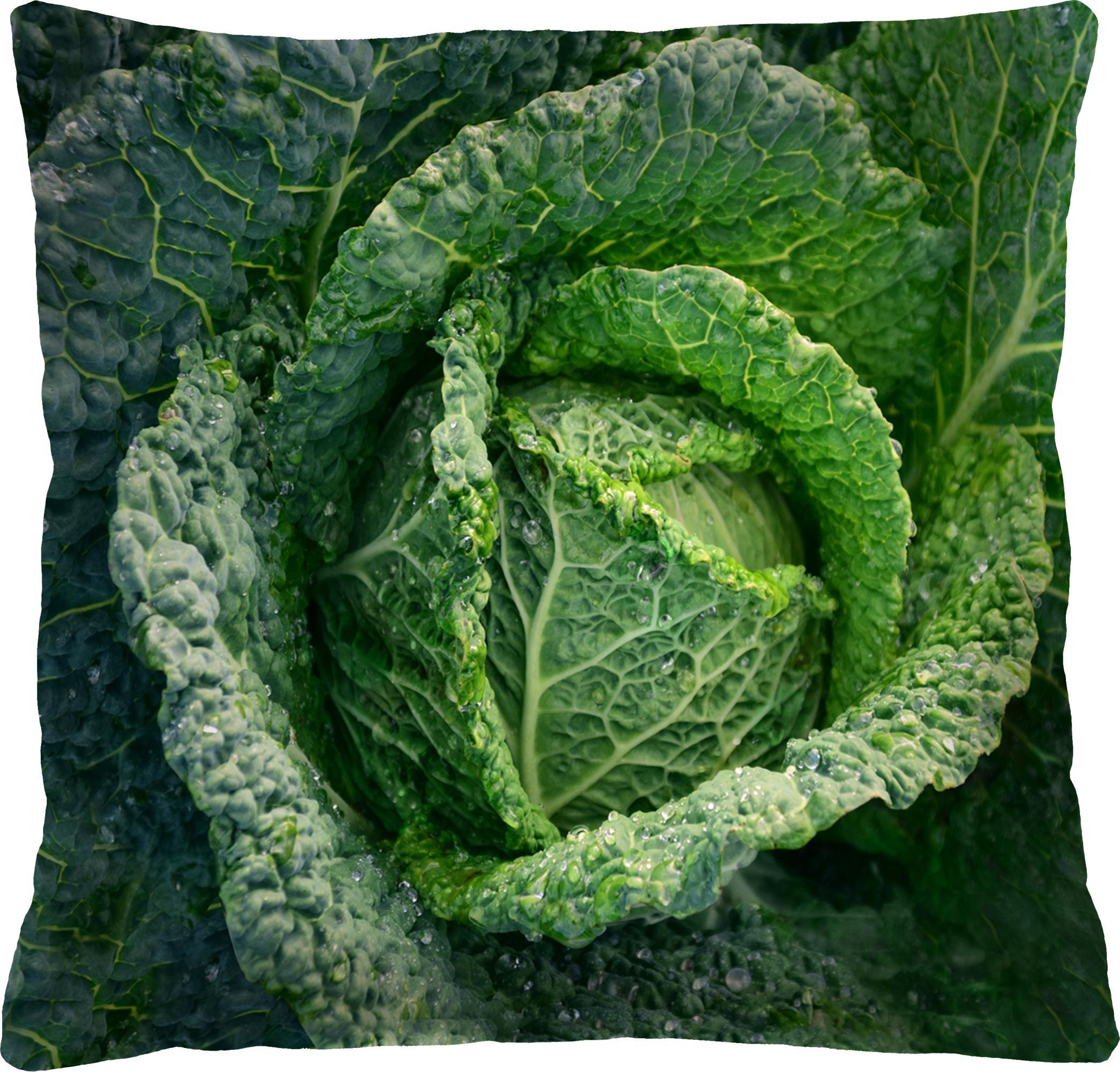 Bertoni-arco Poduszka - CABBAGE 40x40 cm
