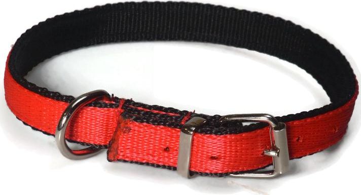 Alizoo Mocna podwójna obroża dla psa 20mm/40-48cm - ALIZOO