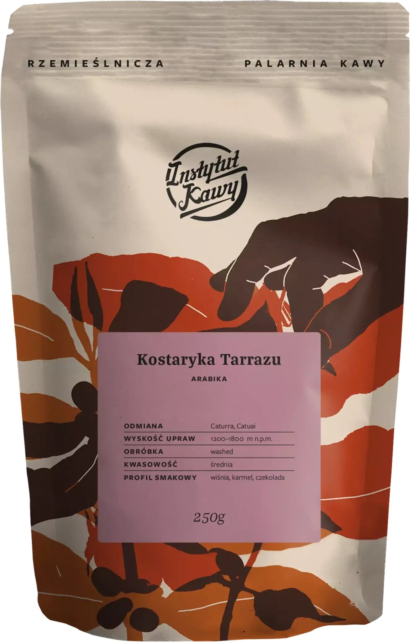 Kawa ziarnista Instytut Kawy Kostaryka Tarrazu 250 g
