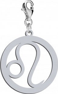 Radziszewska Jewellery Srebrny Charms Znak zodiaku LEW DEDYKACJA