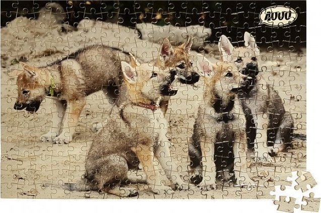 AUUU Fotopuzzle