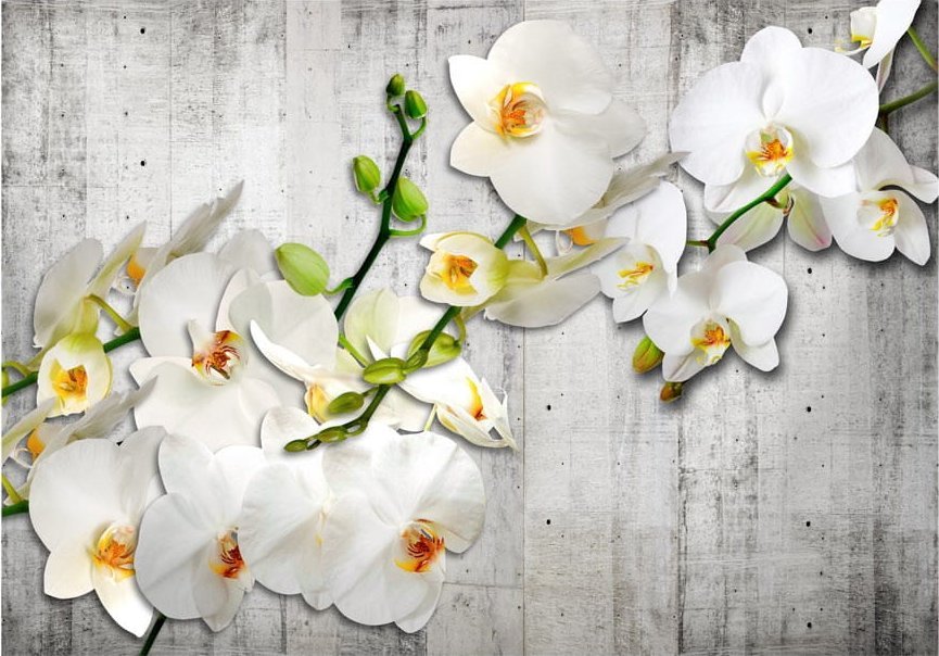 DecoNest Fototapeta - Z szafranowym akcentem - 300X210