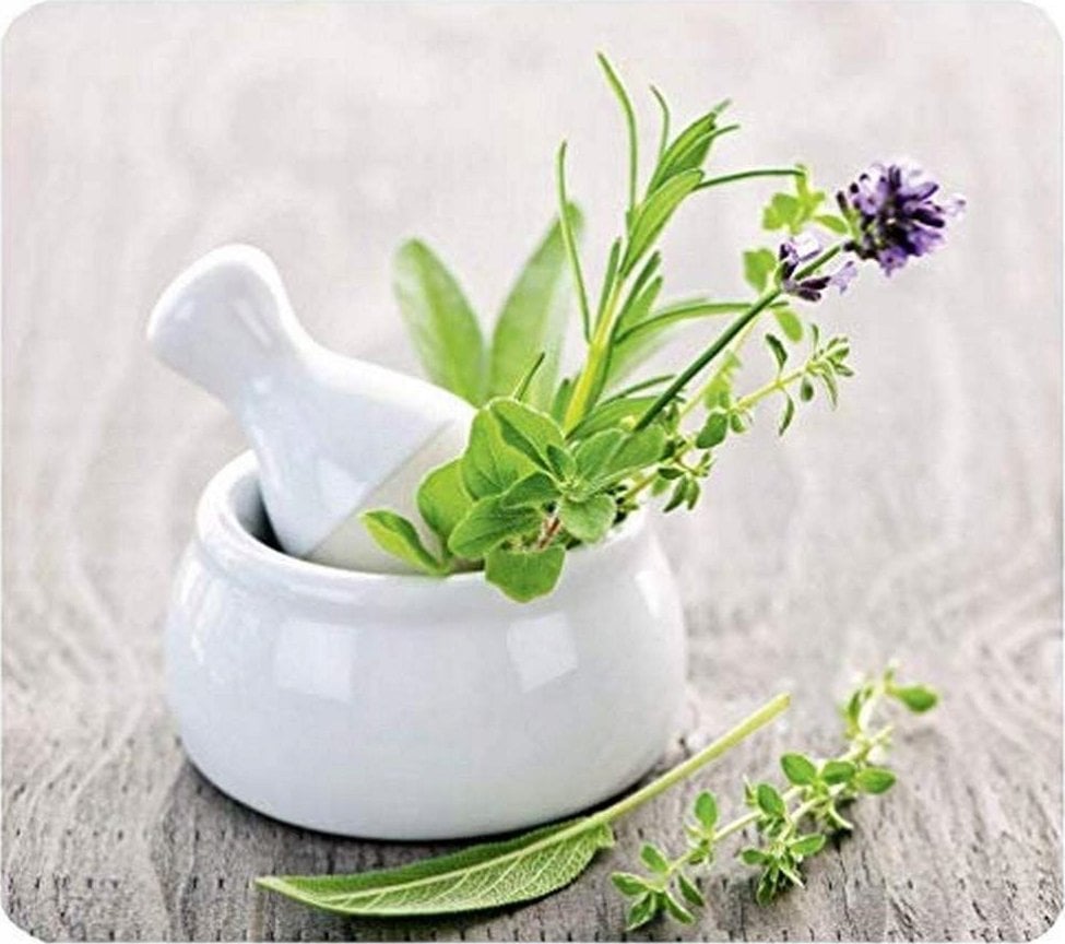 Wenko Szklana płyta ochronna HERB GARDEN na kuchenkę – duża, WENKO